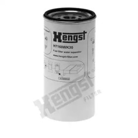 H7160WK30 Hengst