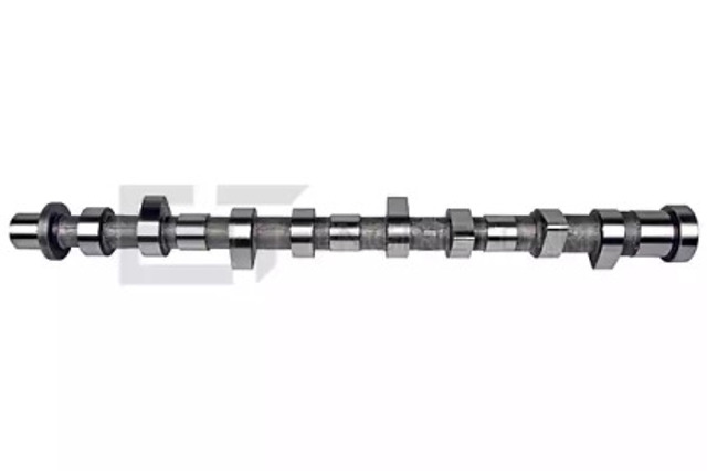 Wał rozrządu silnika ssący, dolotowy Nissan Almera 2 N16