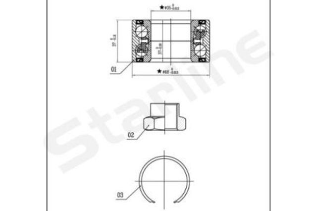 LO03441 Starline