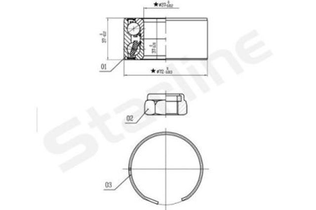 LO03596 Starline