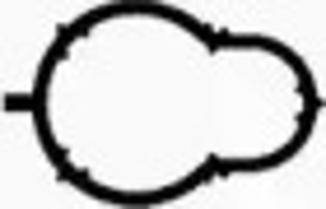 Uszczelka kolektora ssącego Smart FORTWO 450