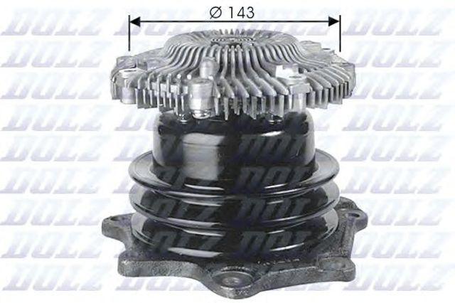 N143 Dolz