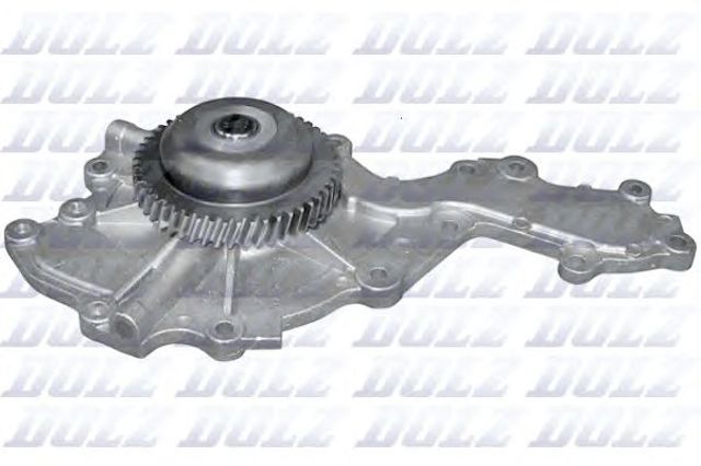 O115 Dolz
