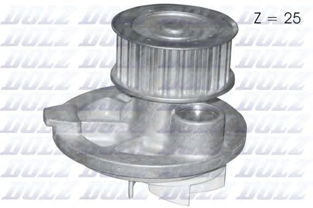 O139 Dolz