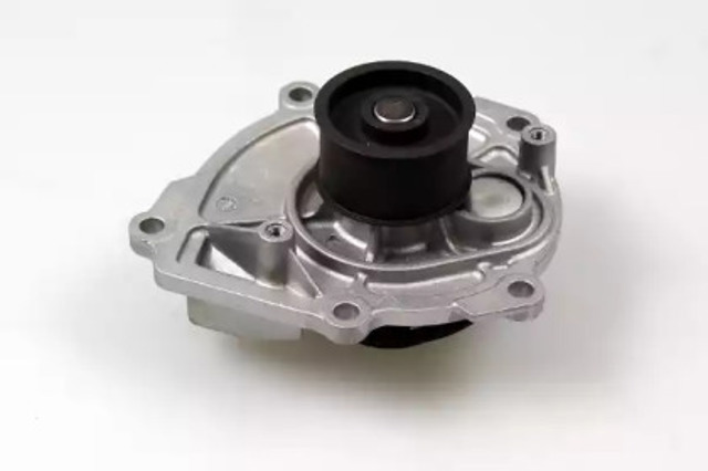 P1724 Hepu