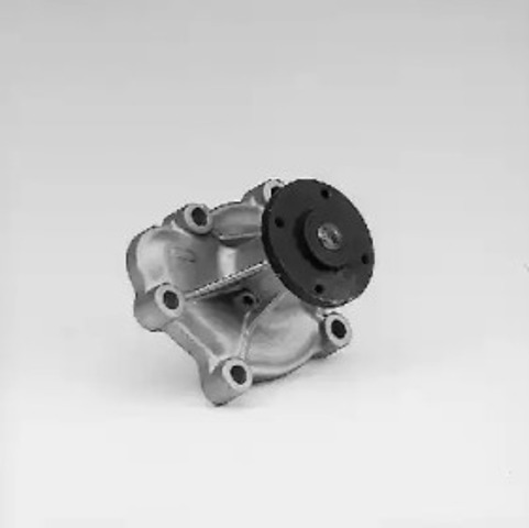 P313 Hepu
