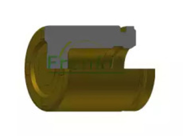 P485204 Frenkit