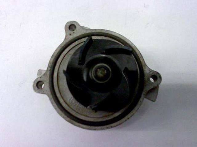 P536 Hepu