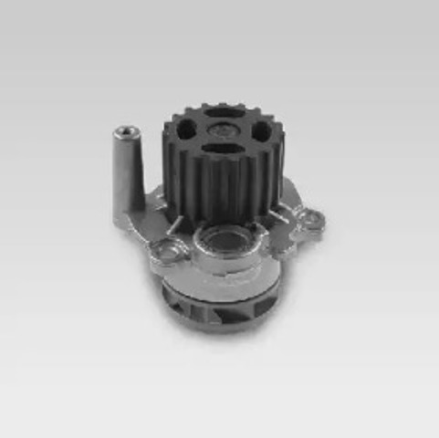 P554 Hepu
