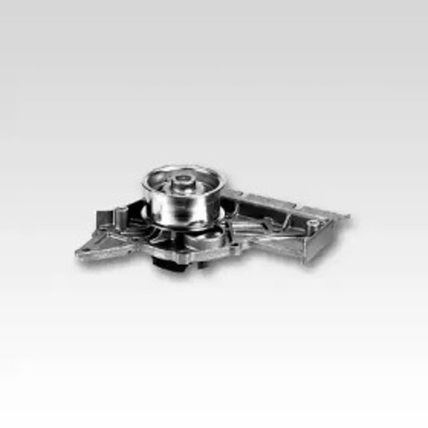 P575 Hepu