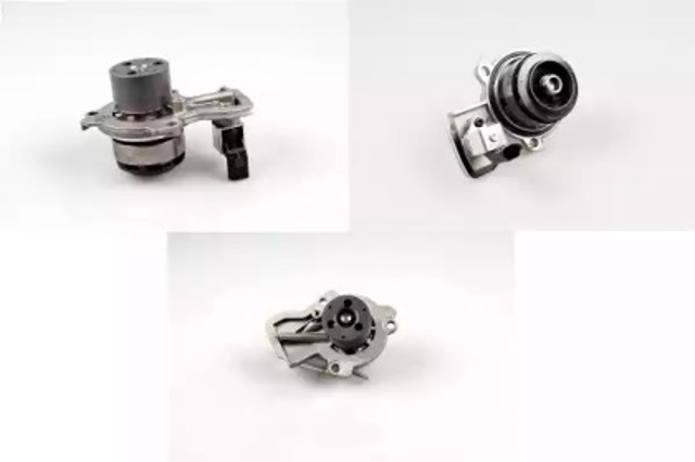 P679 Hepu