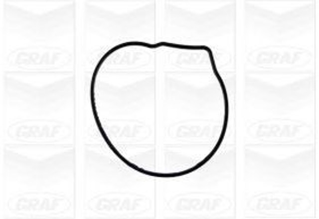 Pompa chłodząca wodna PA674 GRAF