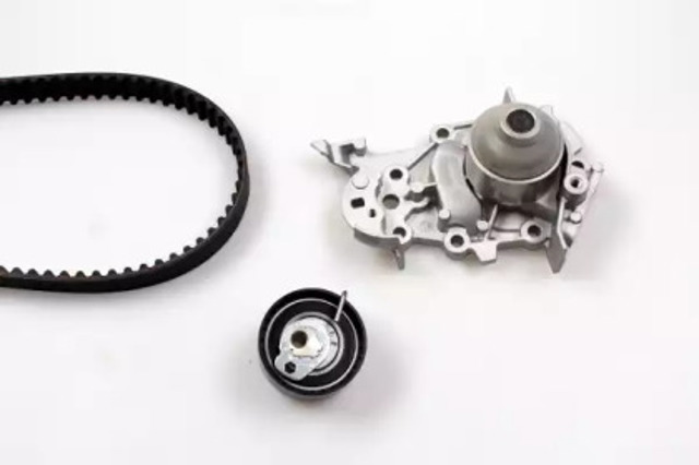 PK09540 Hepu
