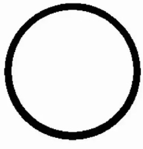 Uszczelka kolektora ssącego RW4319 BGA