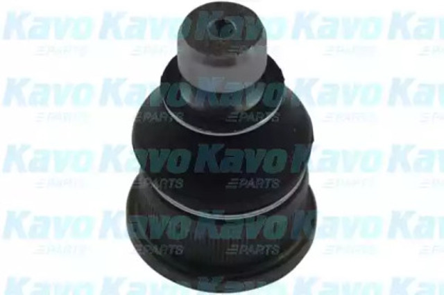 Sworzeń wahacza dolny SBJ6563 KAVO PARTS