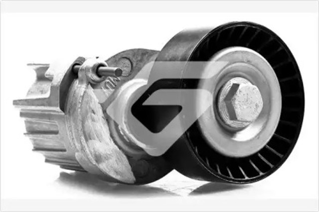 Napinacz paska napędowego T0262 HUTCHINSON