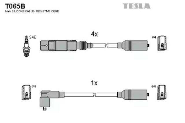 T065B Tesla