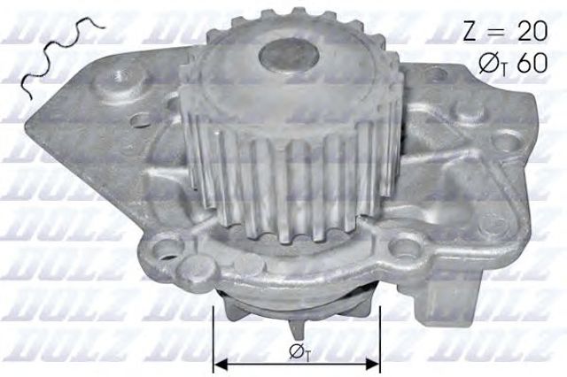 T136 Dolz