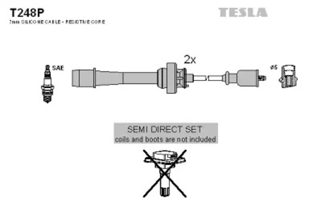 T248P Tesla