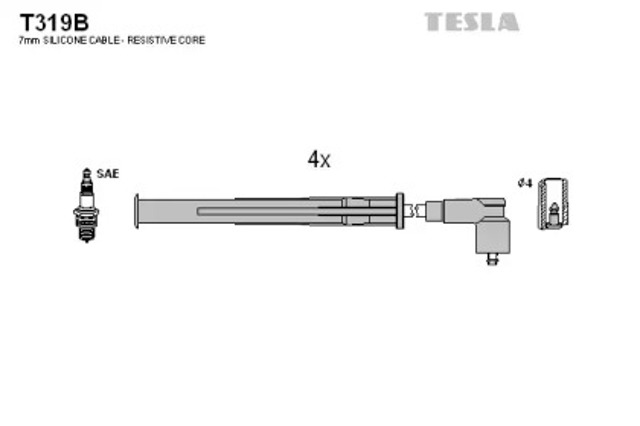 T319B Tesla