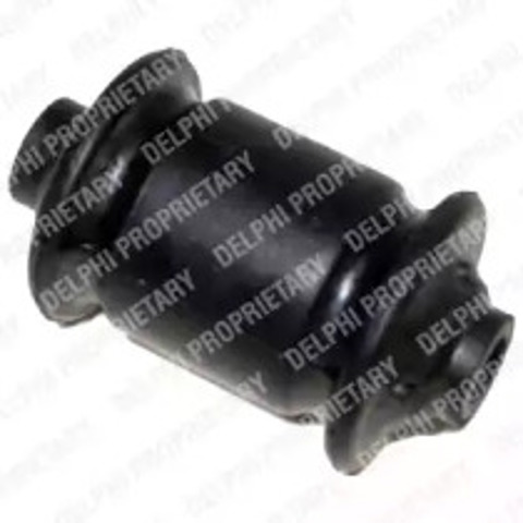 TD493W Delphi