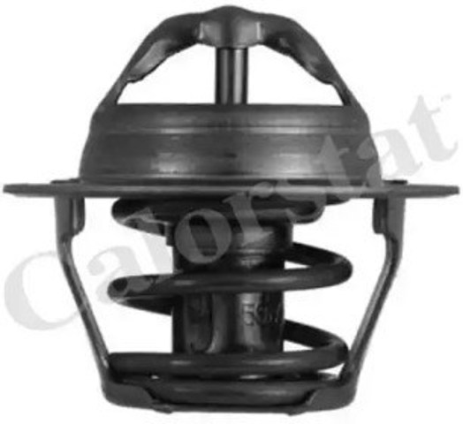 Termostat Daewoo Rezzo