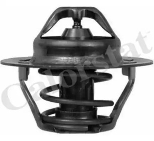 Termostat TH604583J VERNET