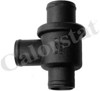 Termostat TH659787 VERNET
