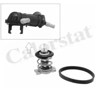 Termostat TH928388J VERNET