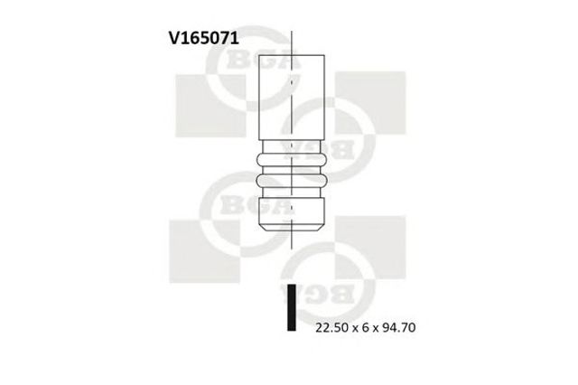 V165071 BGA
