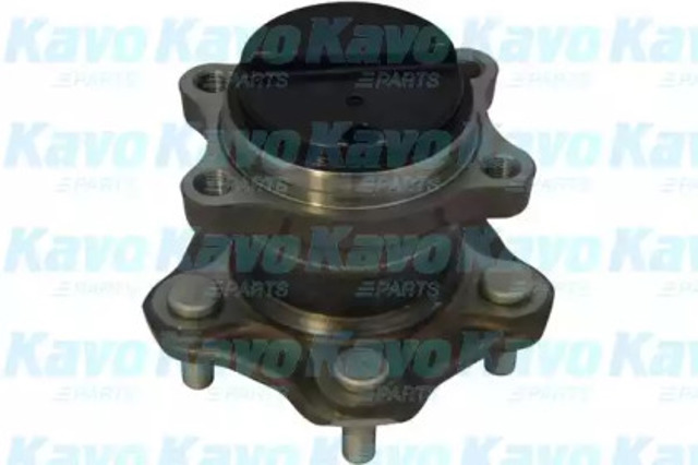 WBH6546 Kavo Parts