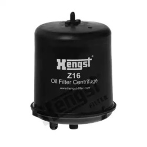 Z16D183 Hengst