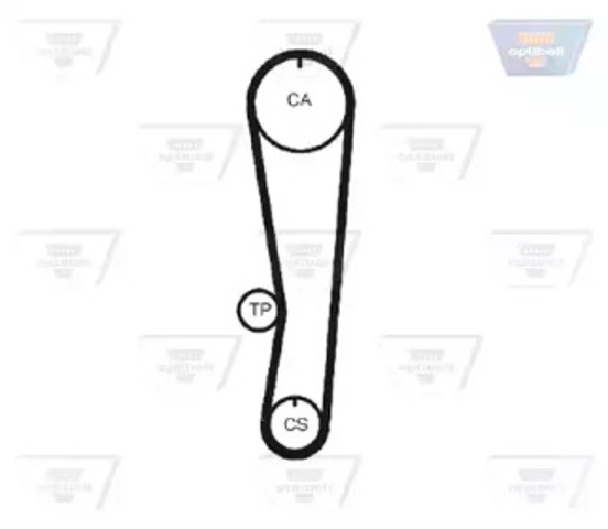 Pasek rozrządu ZRK1161 OPTIBELT