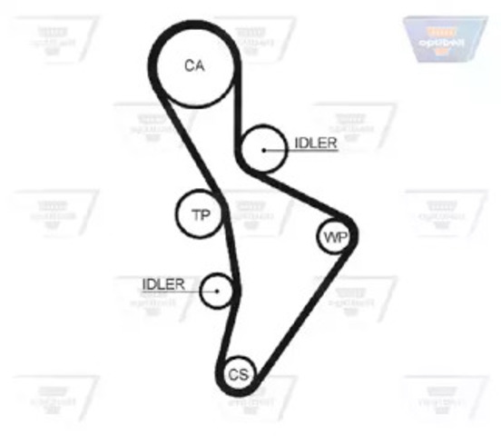Pasek rozrządu ZRK1443 OPTIBELT