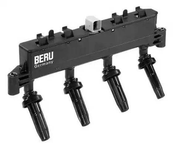 ZSE047 Beru