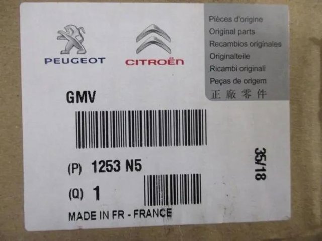 Wentylator elektryczny układu chłodzenia kompletny (silnik+wirnik) Peugeot 407 6E