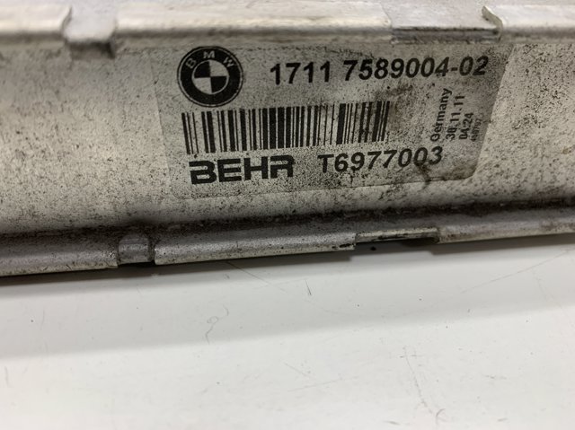 17117589004 BMW