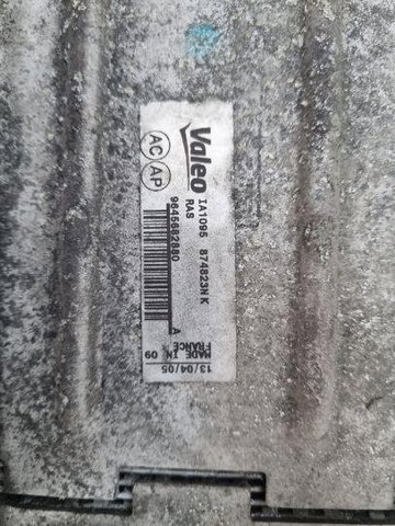 9645682880 Peugeot/Citroen