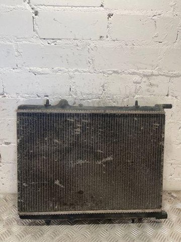 9646577680 Peugeot/Citroen