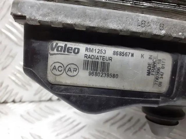 9680239580 Peugeot/Citroen