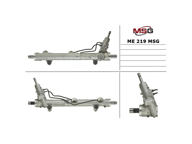 ME219 MSG
