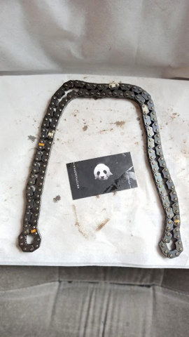 Łańcuch rozrządu C2Z22078 JAGUAR