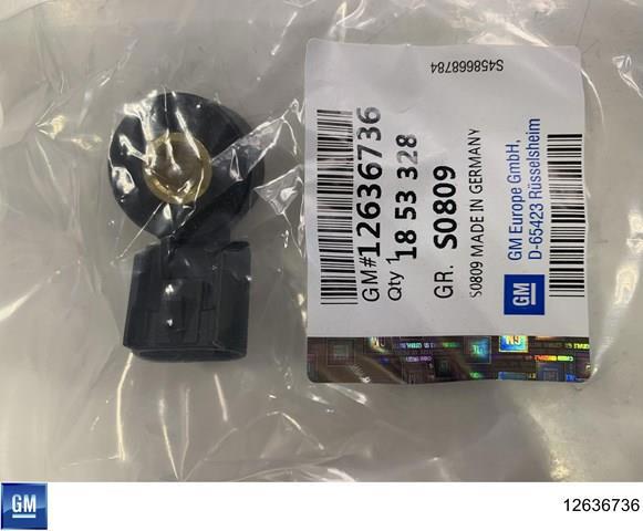 12636736 General Motors