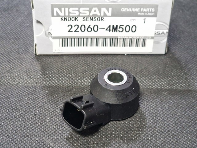 220604M500 Nissan/Infiniti