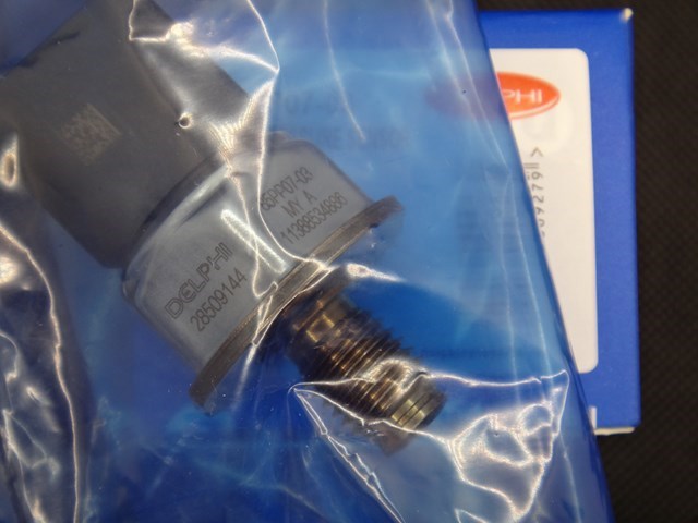 28509144 Delphi