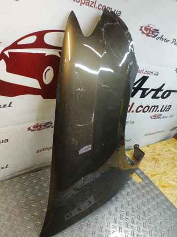 Błotnik przedni prawy 631003314R RENAULT