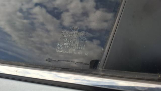 Drzwi przednie lewe Hyundai Sonata 5 NF