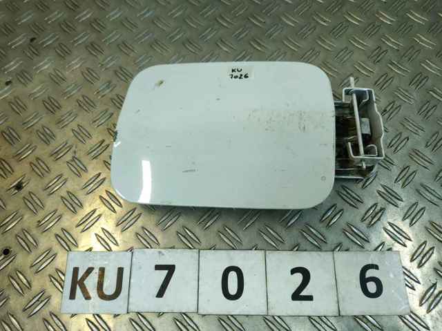 788304567R Renault (RVI)