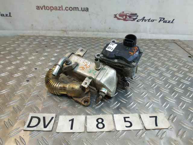 8201068965 Renault (RVI)