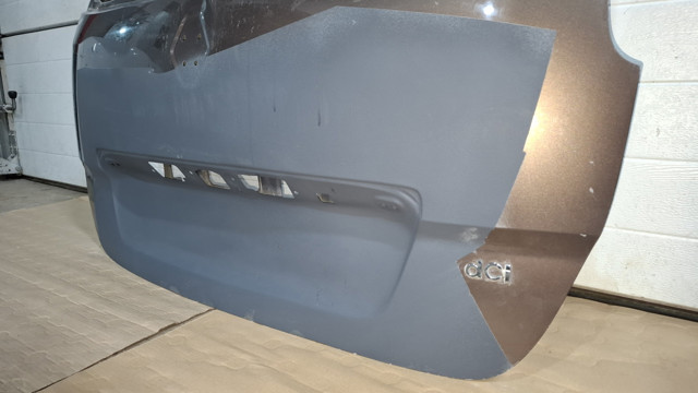 901006104R Renault (RVI)